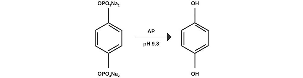 https://s7e5a.scene7.com/is/image/metrohm/Electroactive%20enzymatic%20components?qlt=85&ts=1642601939779&dpr=off